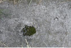 Photos of Ground Textures